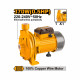 INGCO 370W Centrifugal Water Pump,  Copper Motor