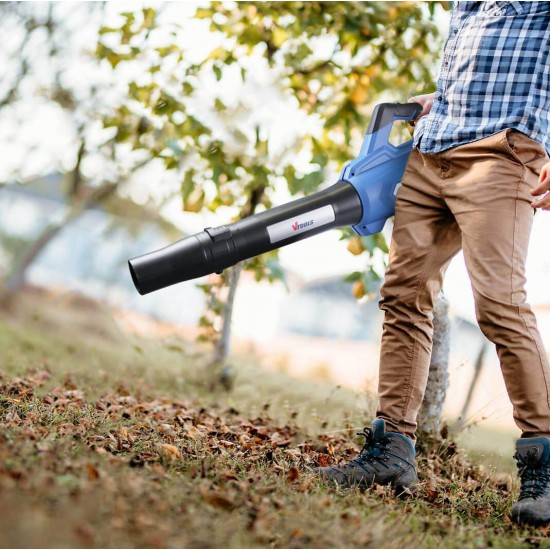 20V Cordless Leaf Blower with 2 Speed Variable, Include 2.0 Ah Battery & Charger