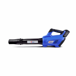 20V Cordless Leaf Blower with 2 Speed Variable, Include 2.0 Ah Battery and Charger