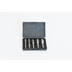 VTOOLS 5pcs Damaged Screw Remover Set with Plastic Casing